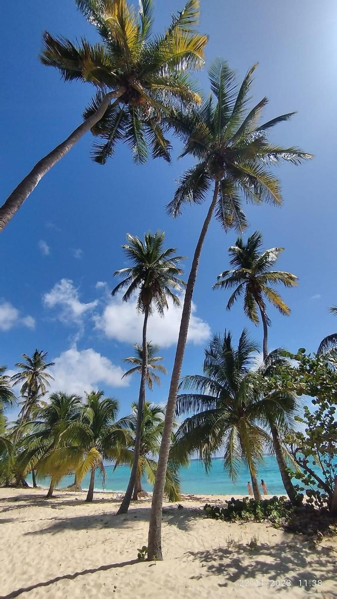 ホテル L'Escale Tropicale サンタンヌ エクステリア 写真